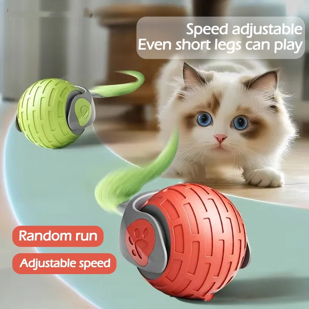 USB Rechargeable Cat Toy – Keeps Your Cat Active & Happy